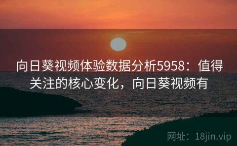 向日葵视频体验数据分析5958：值得关注的核心变化，向日葵视频有