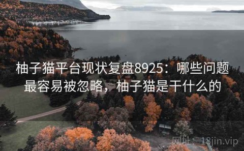 柚子猫平台现状复盘8925：哪些问题最容易被忽略，柚子猫是干什么的