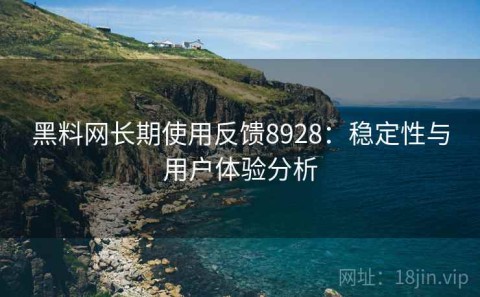黑料网长期使用反馈8928：稳定性与用户体验分析