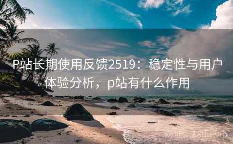 P站长期使用反馈2519：稳定性与用户体验分析，p站有什么作用