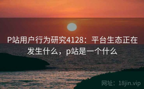 P站用户行为研究4128：平台生态正在发生什么，p站是一个什么