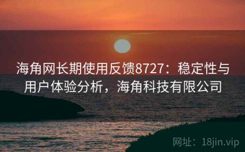 海角网长期使用反馈8727：稳定性与用户体验分析，海角科技有限公司