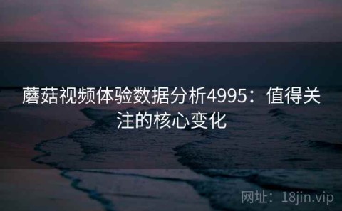 蘑菇视频体验数据分析4995：值得关注的核心变化