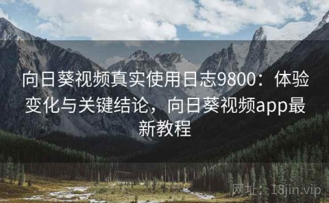 向日葵视频真实使用日志9800：体验变化与关键结论，向日葵视频app最新教程