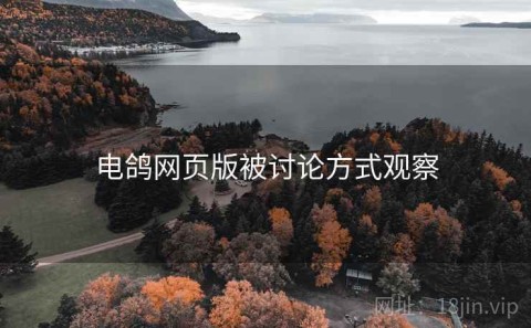 电鸽网页版被讨论方式观察