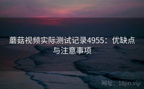 蘑菇视频实际测试记录4955：优缺点与注意事项