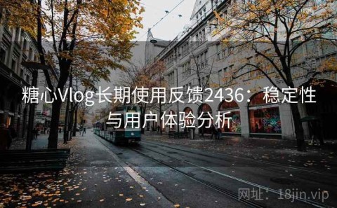 糖心Vlog长期使用反馈2436：稳定性与用户体验分析