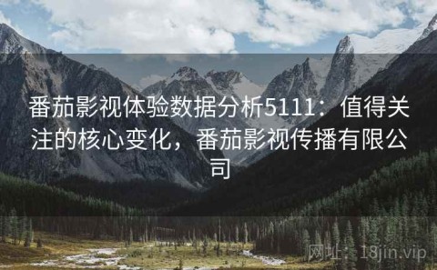 番茄影视体验数据分析5111：值得关注的核心变化，番茄影视传播有限公司