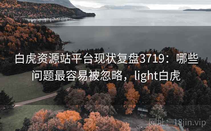 白虎资源站平台现状复盘3719：哪些问题最容易被忽略，light白虎