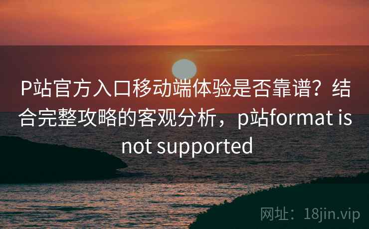 P站官方入口移动端体验是否靠谱？结合完整攻略的客观分析，p站format is not supported