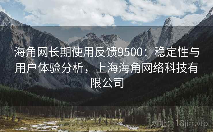 海角网长期使用反馈9500：稳定性与用户体验分析，上海海角网络科技有限公司