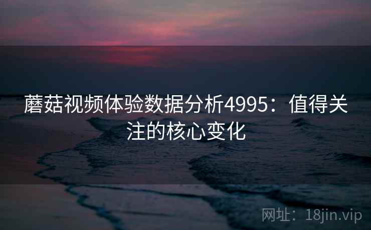 蘑菇视频体验数据分析4995：值得关注的核心变化