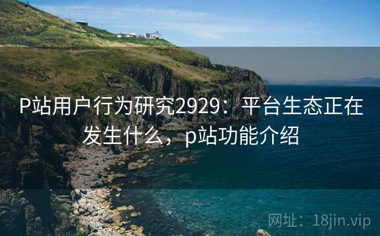 P站用户行为研究2929：平台生态正在发生什么，p站功能介绍