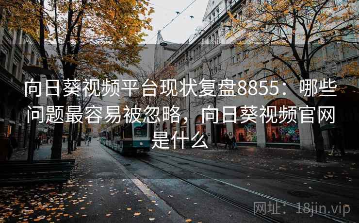 向日葵视频平台现状复盘8855：哪些问题最容易被忽略，向日葵视频官网是什么