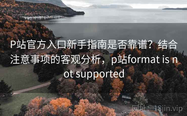P站官方入口新手指南是否靠谱?结合注意事项的客观分析,p站format is not supported P站官方入口新手指南是否靠谱?结合注意事项的客观分析,p站format is not supported
