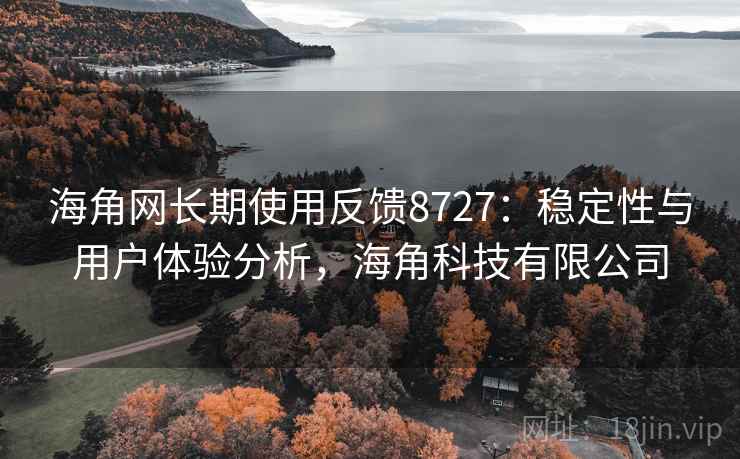海角网长期使用反馈8727：稳定性与用户体验分析，海角科技有限公司