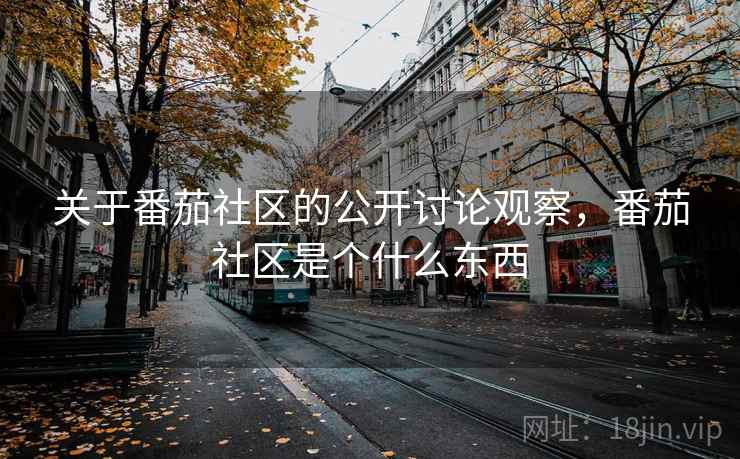 关于番茄社区的公开讨论观察，番茄社区是个什么东西